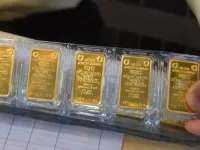Giá vàng miếng giảm nửa triệu đồng
