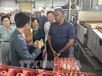 Vietnamese fresh agricultural products have opportunities to enter Singaporean market