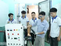 Vocational skills of young people and the labour market