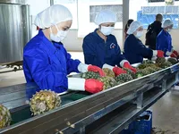 Vietnam maintains growth in agriculture
