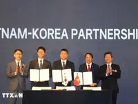 Vietnam, RoK discuss cooperation in future industries