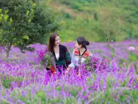 Foreign magazine marvel at enchanting palette of Sa Pa’s autumn