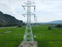 Thanh Hóa: Nước rút trên công trường thi công đường dây 500kV mạch 3