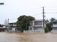 250.000 người dân Puerto Rico thiếu điện, nước do bão Ernesto