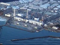 Nồng độ phóng xạ xả thải của nhà máy Fukushima an toàn