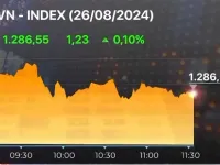 Thị trường phân hóa, VN-Index tăng nhẹ