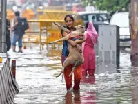 Mưa lớn gây ngập lụt nặng tại New Delhi, Ấn Độ