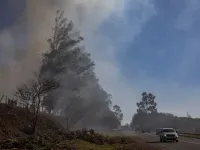 Thành phố lớn nhất Brazil chìm trong khói cháy rừng