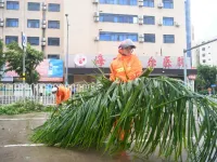 Siêu bão Yagi khiến 2 người chết, gần 100 người bị thương tại Trung Quốc