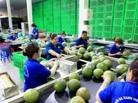 Fruit, vegetable exports expected to hit record in 2024