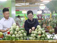 Lang Son advertises custard-apples and typical farm produce in Hanoi