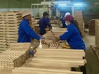 Vietnam takes active measures to boost timber exports