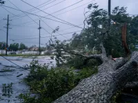 Francine suy yếu thành bão nhiệt đới sau khi đổ bộ vào bang Louisiana (Mỹ)