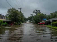 Mỹ cảnh báo lũ lụt do bão Francine đổ bộ