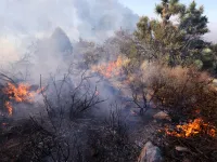 Cháy rừng tại California, Mỹ lan rộng