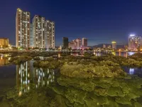 Vietnamese photographer wins ASEAN SX Photo Contest