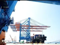 Vietnam's exports to Singapore see significant growth