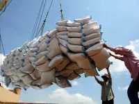 Vietnam's rice export turnover up 23.5% in nine months