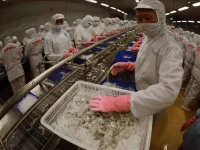 Vietnam needs to diversify supply chains for sustainable growth: economists