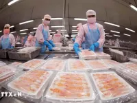 Aquatic exports expected to rise in year-end despite challenges