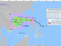 Urgent response urged as Typhoon Trami looming