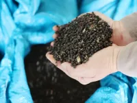 Vietnam's pepper exports down in volume, but surge in value