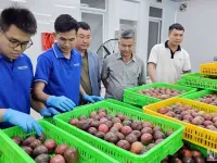 First Vietnamese enterprise exports passion fruit to Australia