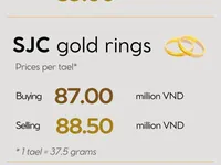 Domestic gold prices remain unchanged on October 28