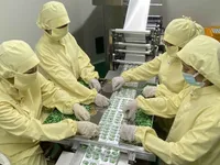 European firms in Vietnam maintain strong optimism: EuroCham