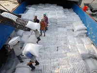 Vietnam's rice export turnover up 23.5% in nine months
