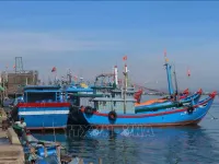 Quang Nam aims to deal with 'three no’s' fishing vessels in November