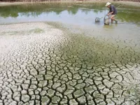 Thu hút tài chính khí hậu tại COP29