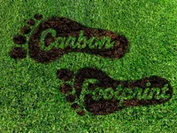 Reducing the carbon footprint in tourism activities