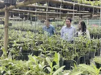 Cao Bang Province works to effectively leverage potential and strengths