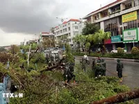 Global experts share experiences in disaster insurance