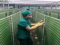 Enhancing technology absorption capacity for enterprises