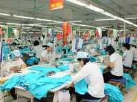 Finding solutions for businesses to utilise FTA leverage