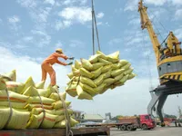 Rice exports top 8 million tonnes