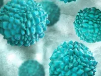 Số ca mắc bệnh đau dạ dày do Norovirus tăng ở nhiều vùng tại Mỹ