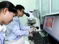 Promoting digital transformation in higher education