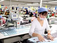 Vietnam strives to fulfil growth targets for 2024