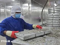 Eleven-month seafood export almost reaches 9.2 billion USD