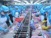 Vietnam records 24.3 billion USD trade surplus in 11 months