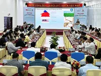 Seminar discusses solutions to build national rice brand