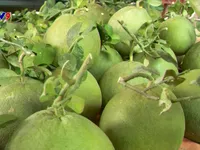 Vietnam's fruit, vegetable exports up nearly 18% in H1