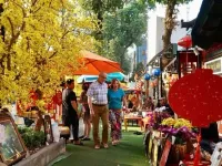 Vietnam’s Lunar New Year enchants foreigners