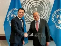 UN Secretary-General extends New Year wishes to Vietnamese leaders, people