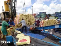 Vietnam's rice exports increase over 23%