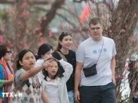 Vietnam attracts nearly 2.1 million international visitors in January