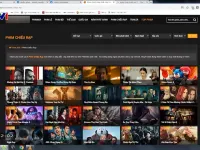 Vietnam Faces  Copyright Protection Challenges  in the Digital Age